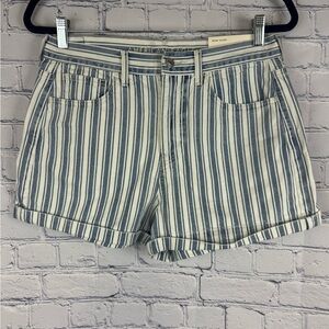 American Eagle Outfitters Blue and White Jean Shorts